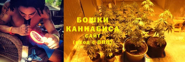 бошки Богданович